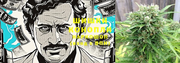 PSILOCYBIN Арсеньев