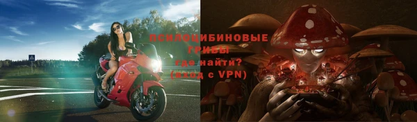 трава Армянск