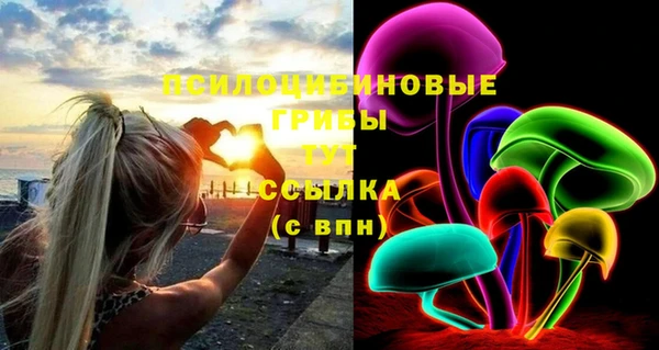 трава Армянск