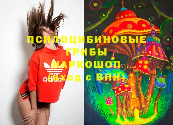 трава Армянск