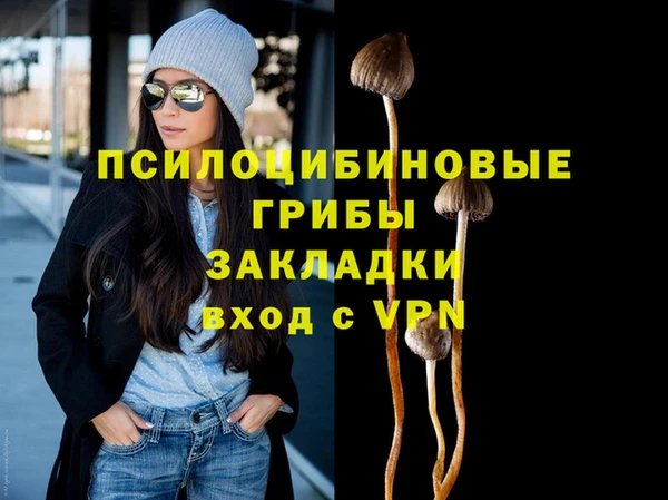 круглые Аркадак