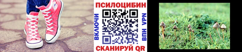Галлюциногенные грибы ЛСД  Ишим 